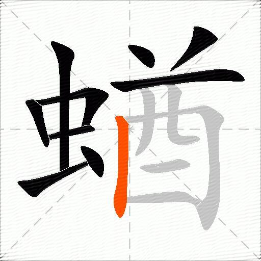 蝤