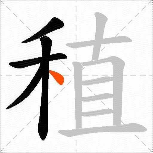 稙