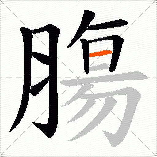 膓