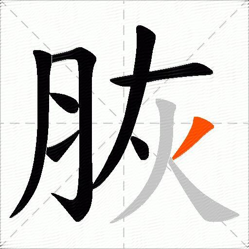 脄