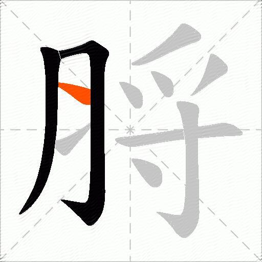 脟