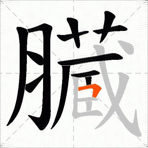 臓
