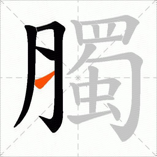 臅