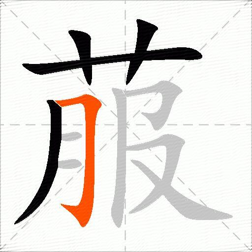 菔