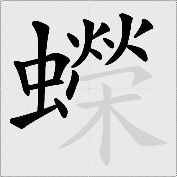 蠑