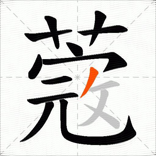 蔲