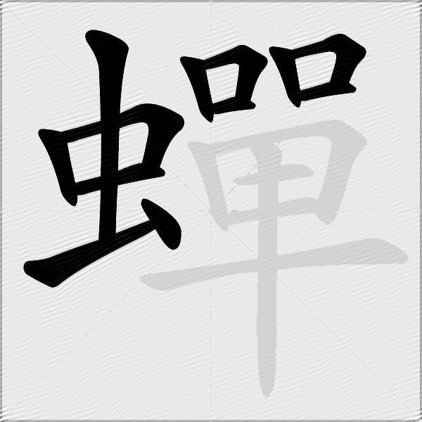 蟬