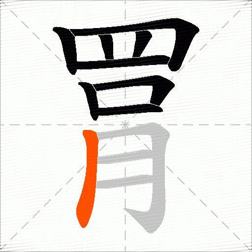 罥