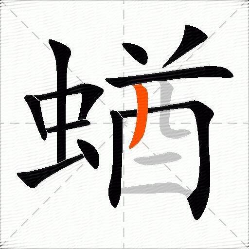 蝤