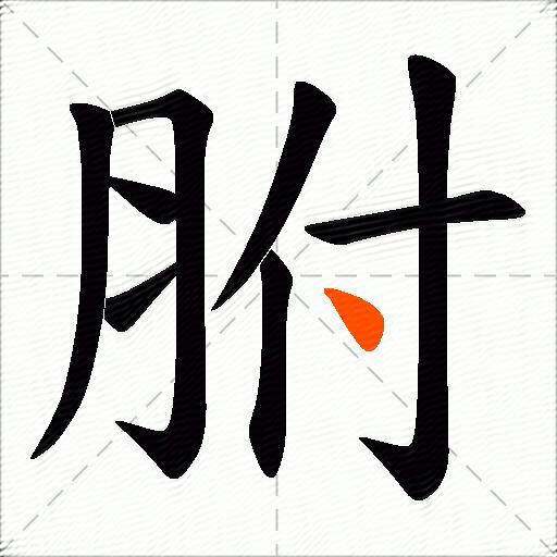 胕