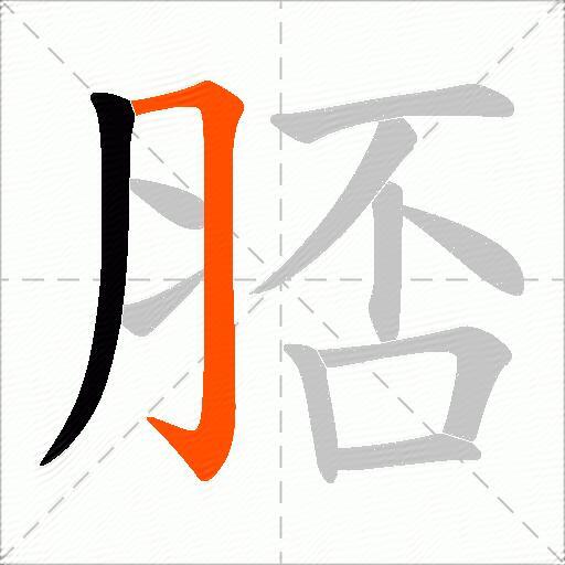 脴