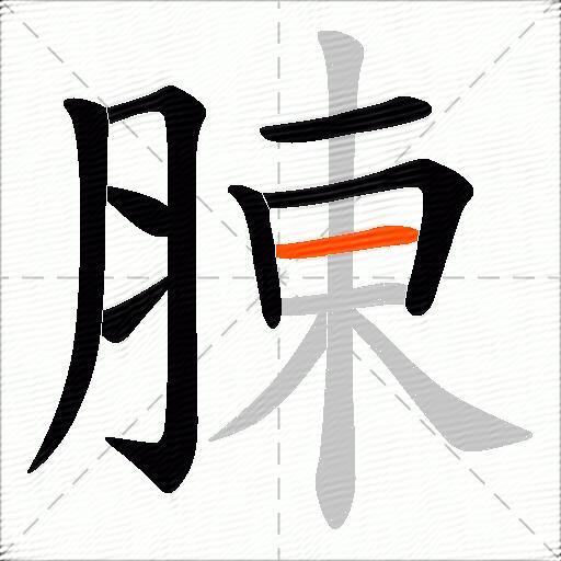 腖