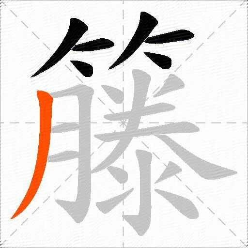 籐