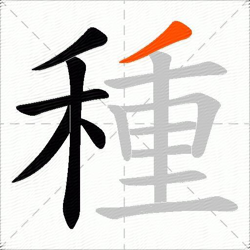 種