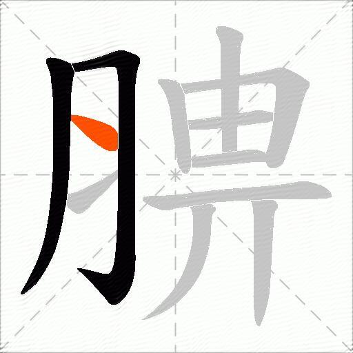 腗