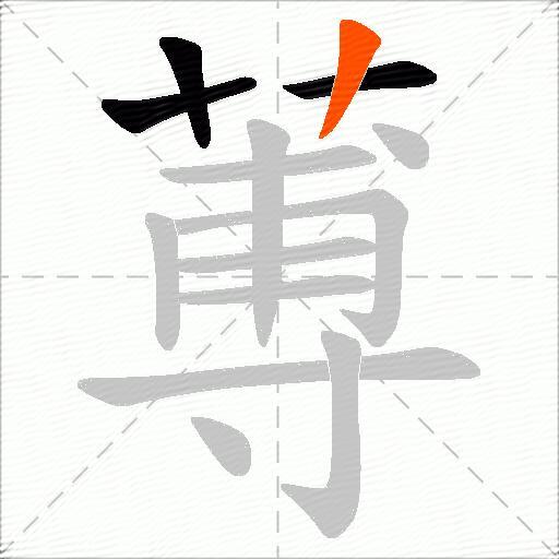 蒪