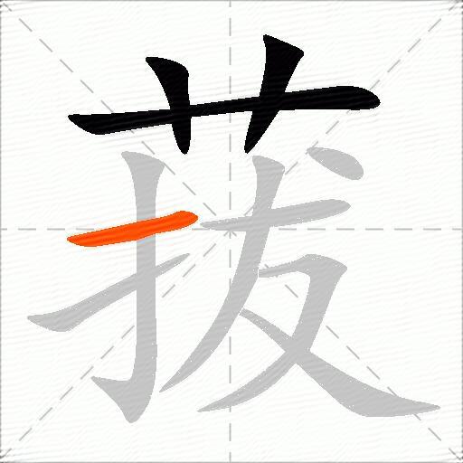 菝