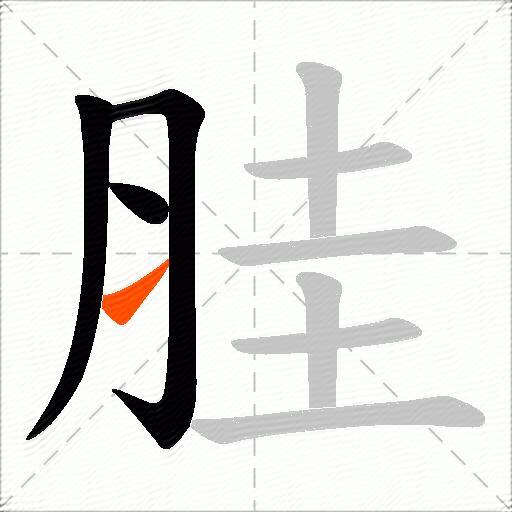 胿