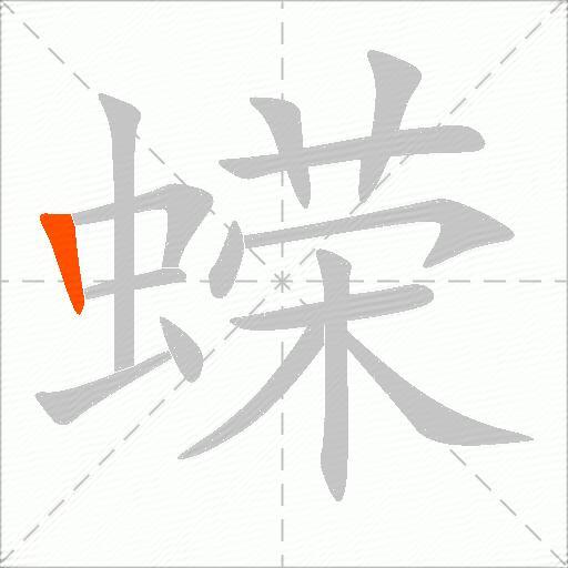 蝾