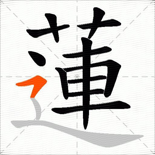 蓮