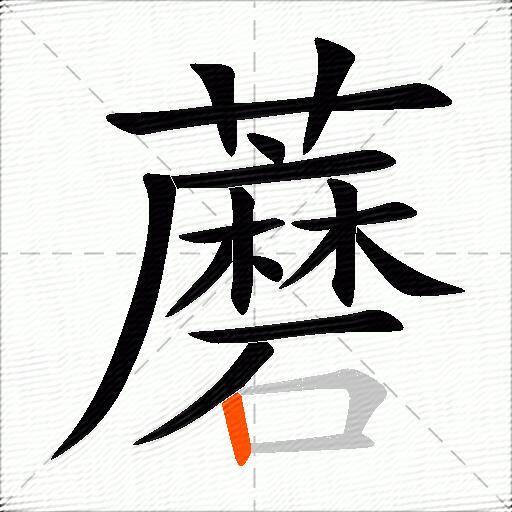 蘑
