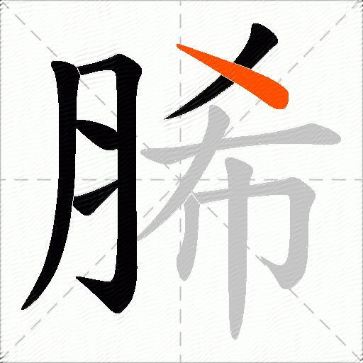 脪
