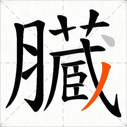 臓
