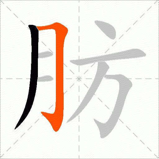 肪