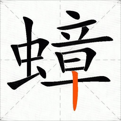 蟑