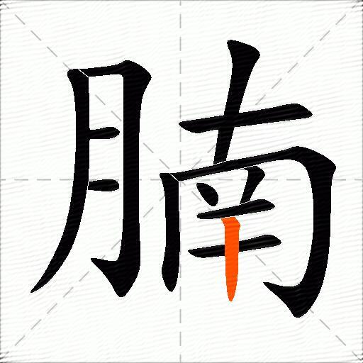 腩