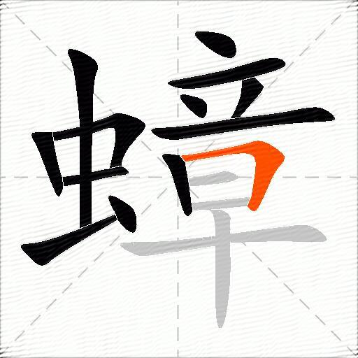 蟑