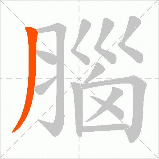 腦