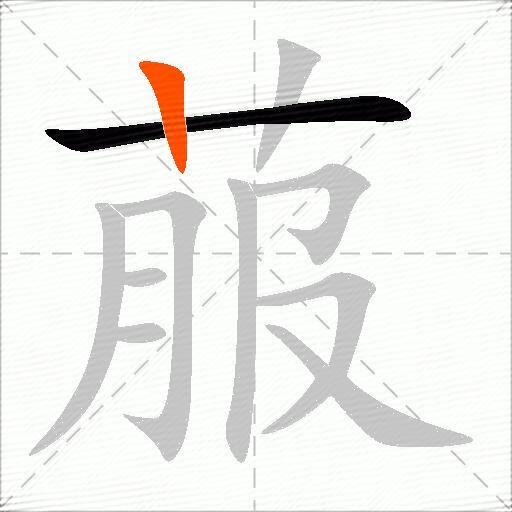 菔