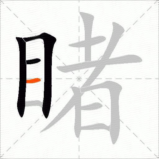 睹