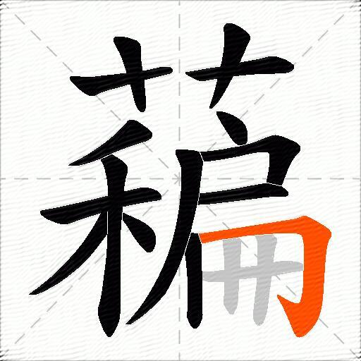 藊