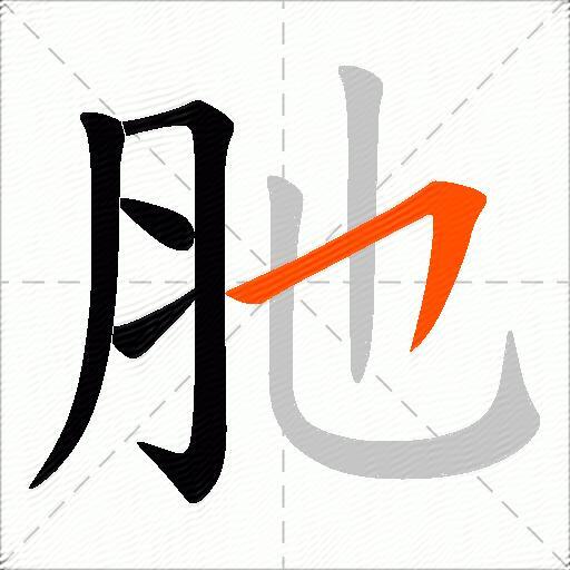 肔