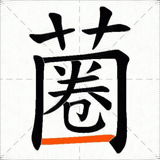 蔨