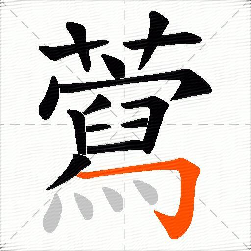 藛