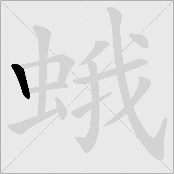 蛾