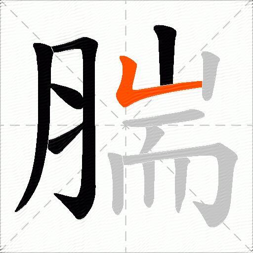 腨