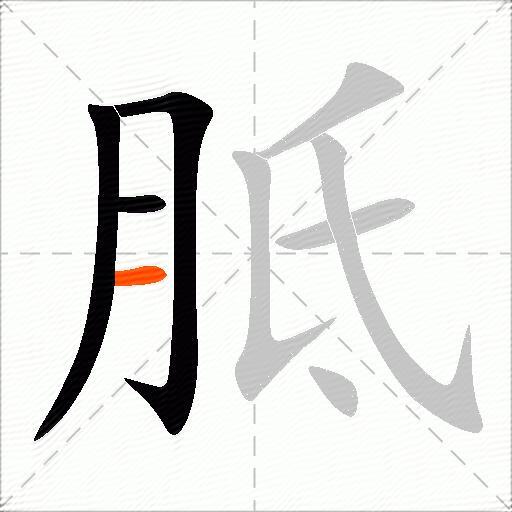 胝