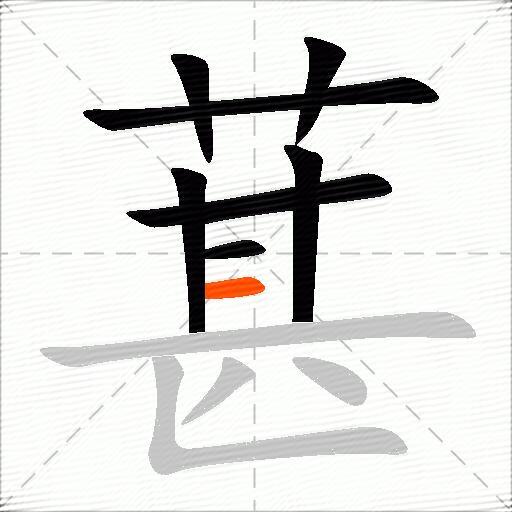 葚