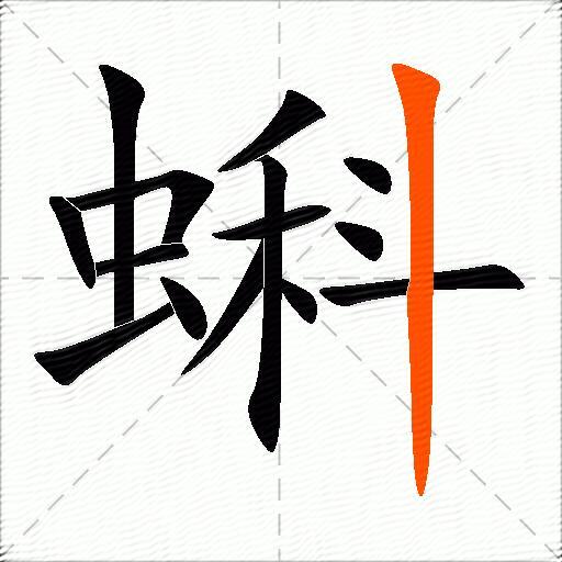 蝌