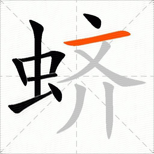 蛴