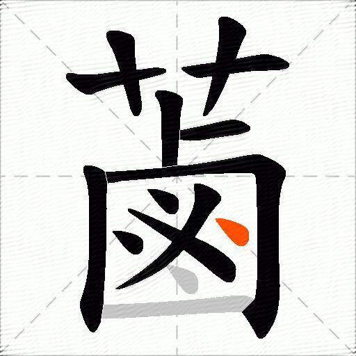 蓾