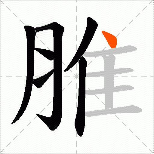 脽