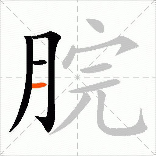 脘