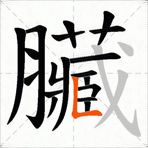 臟