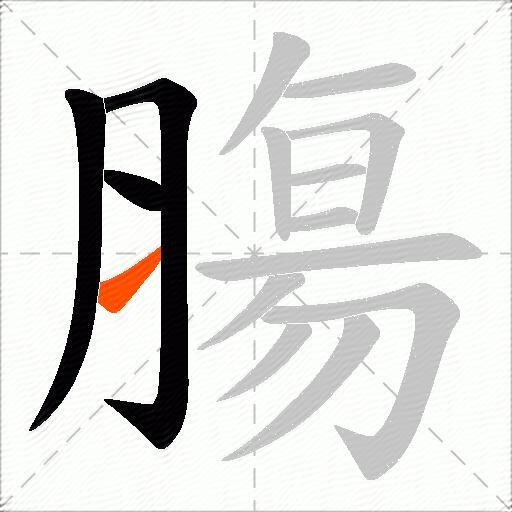 膓