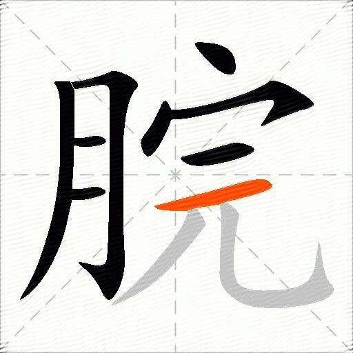 脘